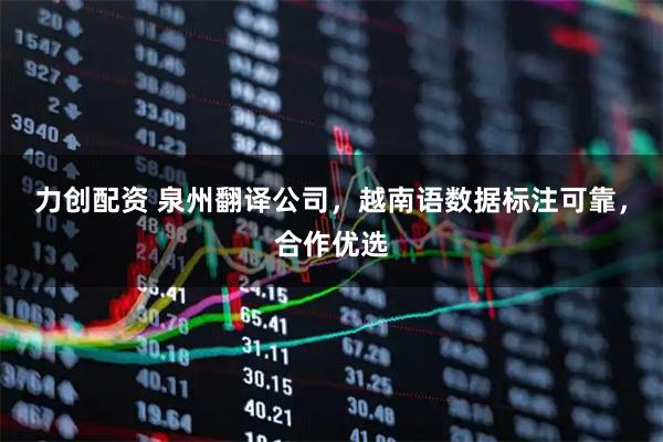 力创配资 泉州翻译公司，越南语数据标注可靠，合作优选
